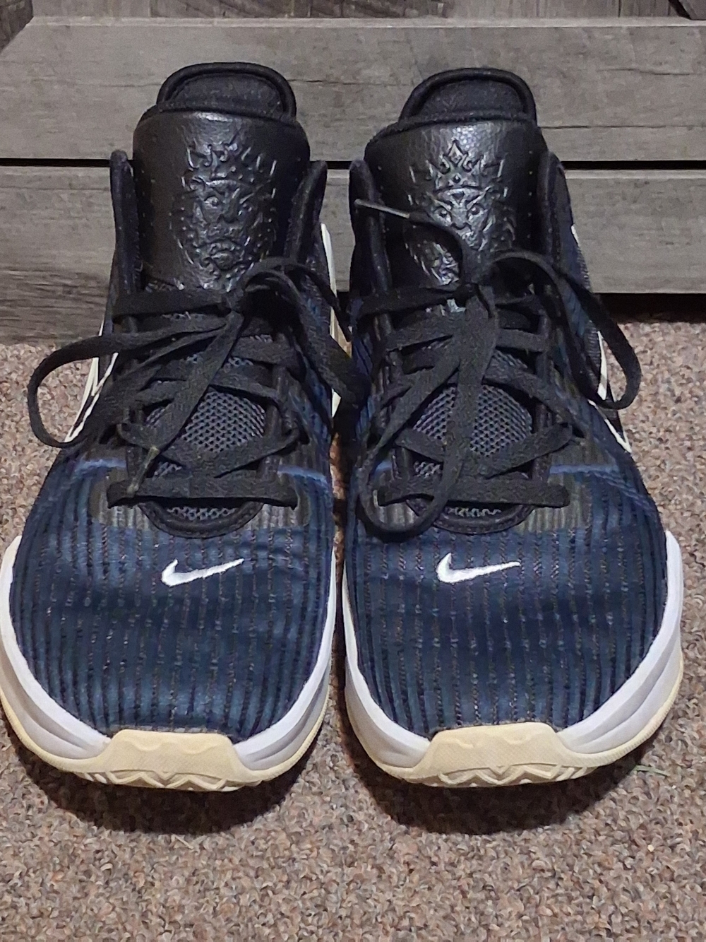 Nike Lebron 6 Witness Size 14